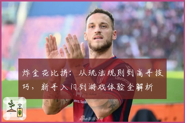 炸金花比拼：从玩法规则到高手技巧，新手入门到游戏体验全解析
