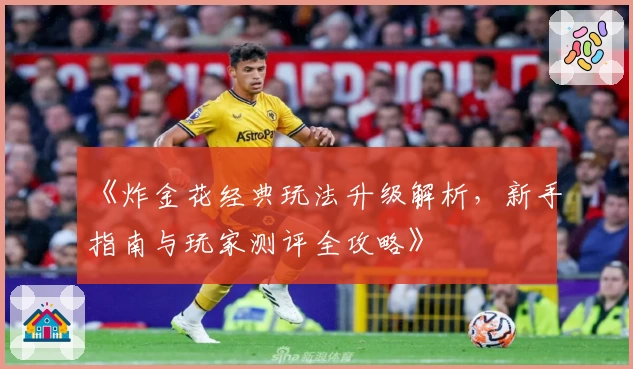 《炸金花经典玩法升级解析，新手指南与玩家测评全攻略》