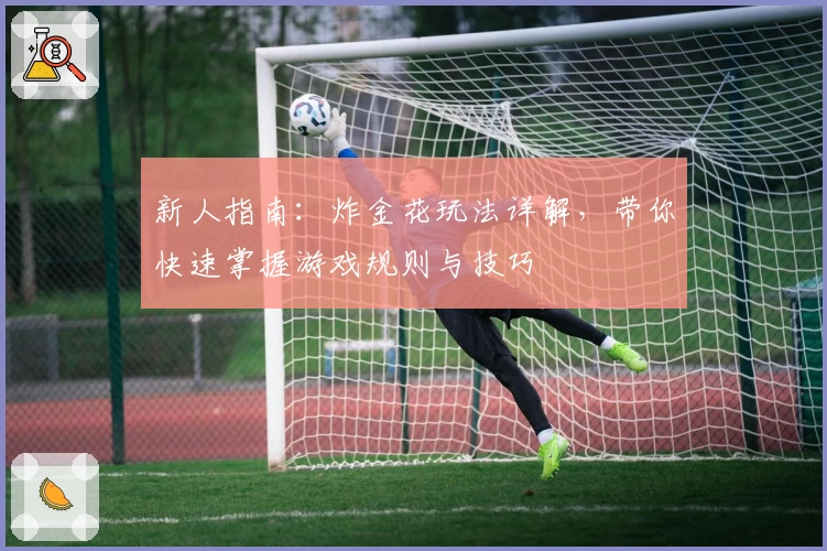 新人指南：炸金花玩法详解，带你快速掌握游戏规则与技巧