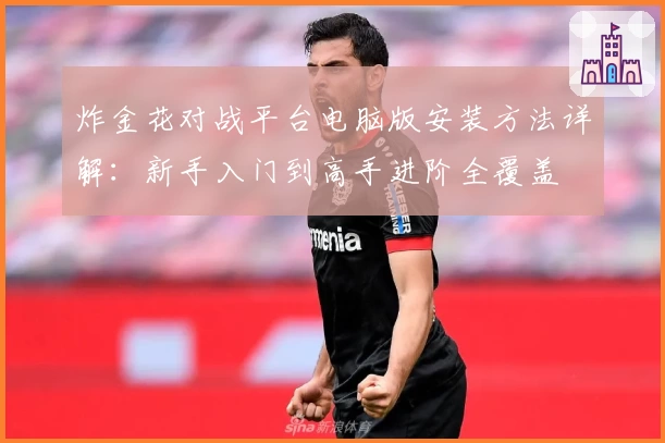 炸金花对战平台电脑版安装方法详解：新手入门到高手进阶全覆盖