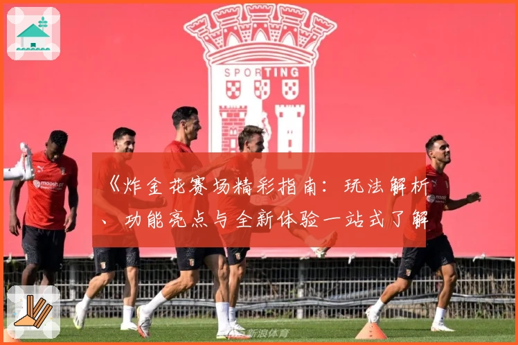 《炸金花赛场精彩指南：玩法解析、功能亮点与全新体验一站式了解》