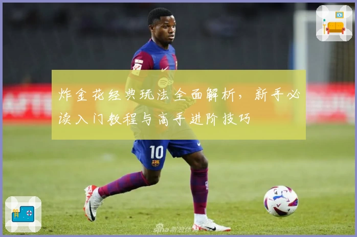 炸金花经典玩法全面解析，新手必读入门教程与高手进阶技巧