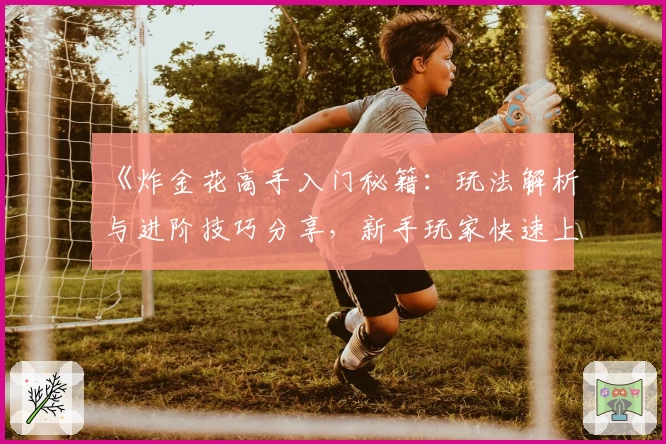 《炸金花高手入门秘籍：玩法解析与进阶技巧分享，新手玩家快速上手指南》