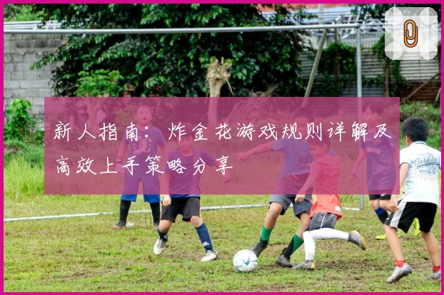 新人指南：炸金花游戏规则详解及高效上手策略分享