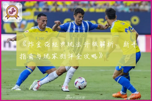 《炸金花经典玩法升级解析,新手指南与玩家测评全攻略》