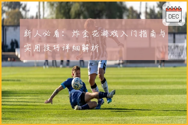 新人必看：炸金花游戏入门指南与实用技巧详细解析